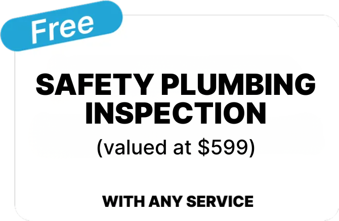 SAFETY PLUMBING INSPECTION